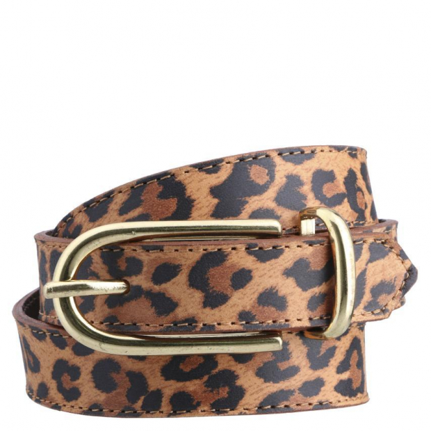Cinturon - Gacel - SF - Camel -
