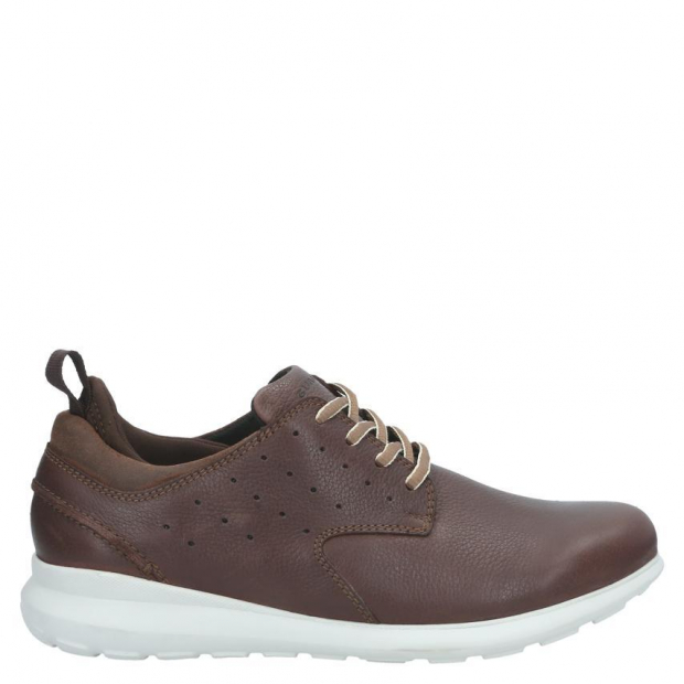 Zapato - Guante - OLYMPIA - Chocolate - 0034172
